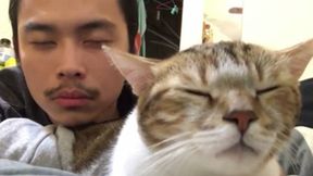 Jenis Hewan Peliharaan